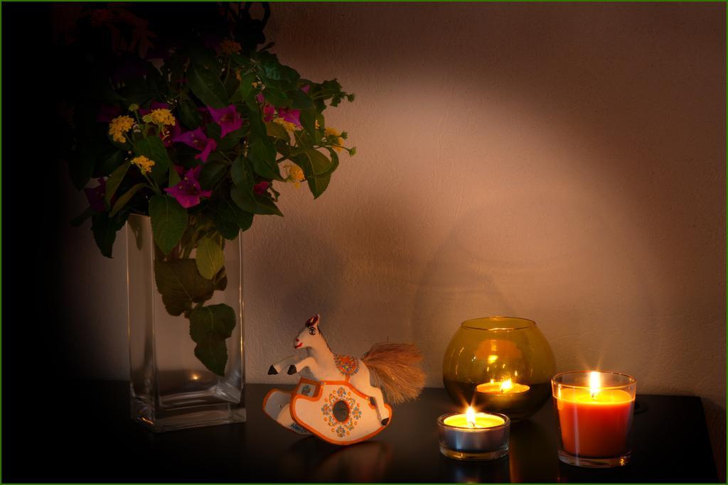 Ai Parchi Dei Parrini Bed & Breakfast