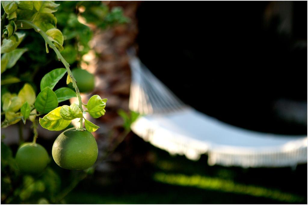 Bed & Breakfast Ai Parchi Dei Parrini